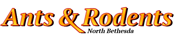 North Bethesda Ant Exterminator & Rodent Control Company Logo
